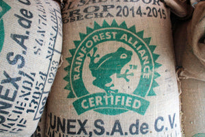 The Coffee Process: From Seed to Cup - Trading Post Coffee Roasters 