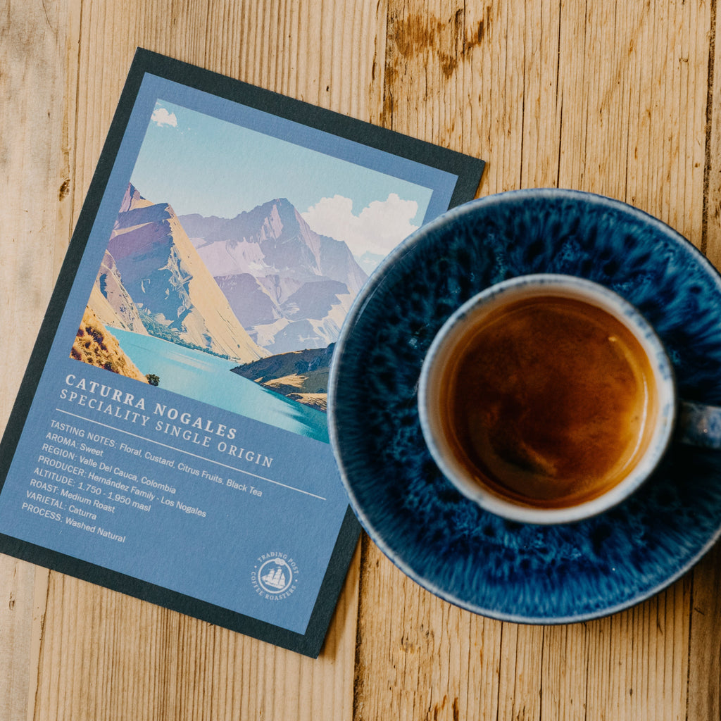 Caturra Nogales - Colombia Speciality Single Origin